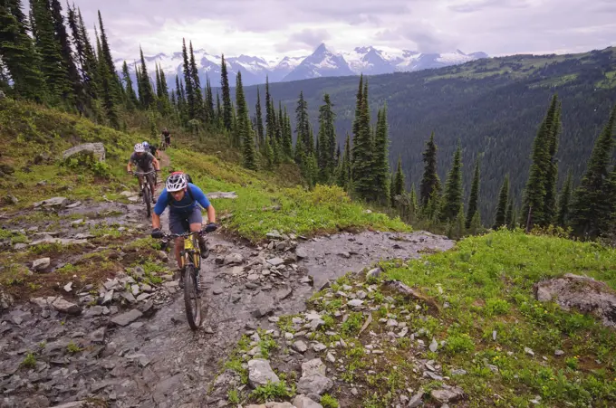 Mountain biking in Keystone_Standard Basin. Revelstoke. Kootenay Rockies region, British Columbia, Canada