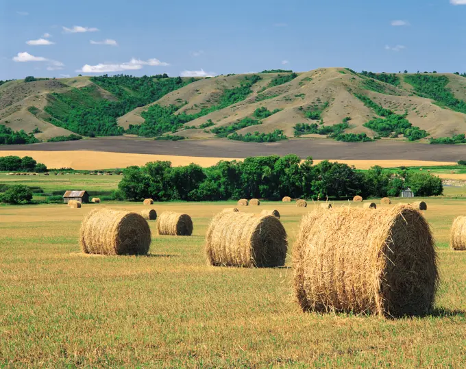 Straw rolls, Qu´appelle Valley, Saskatchewan, Canada.