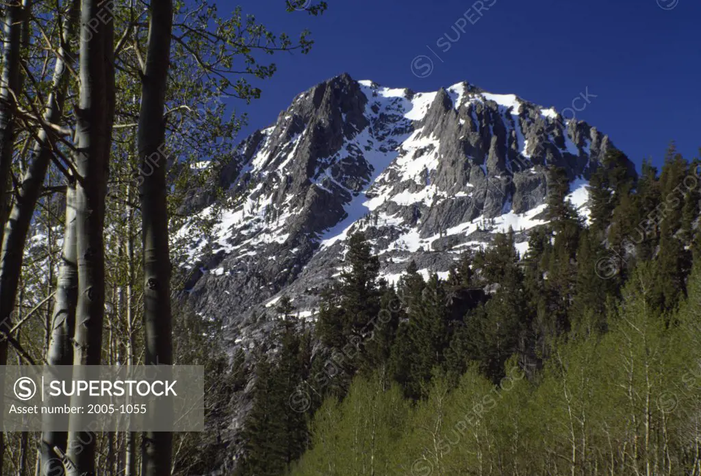 Sierra Nevada Mountains California USA