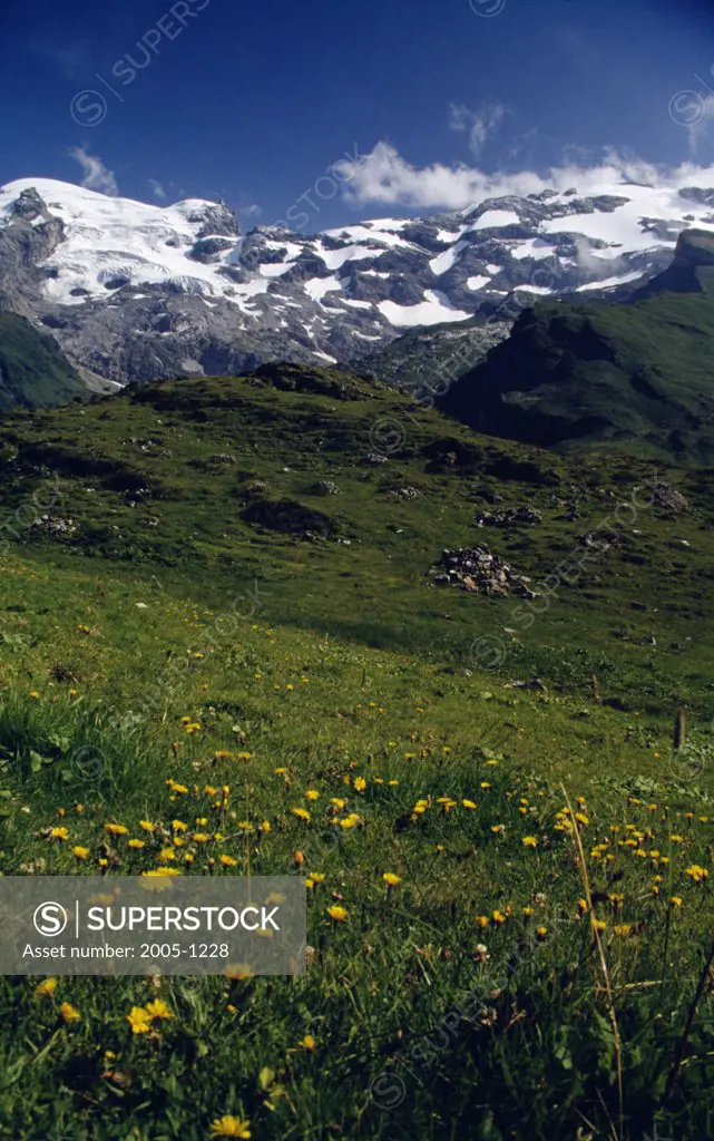 Mount Titus Switzerland