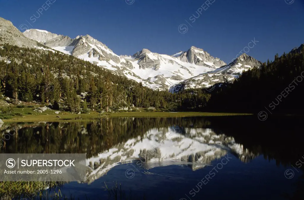 Marsh Lake John Muir Wilderness California USA