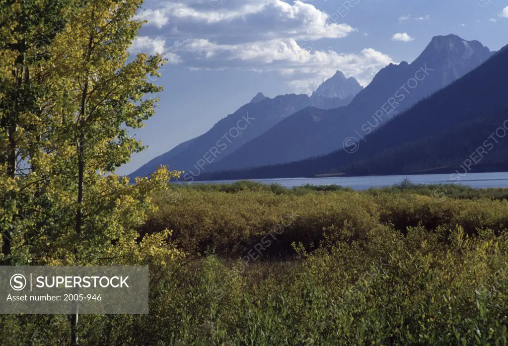 Grand Teton National Park Wyoming USA