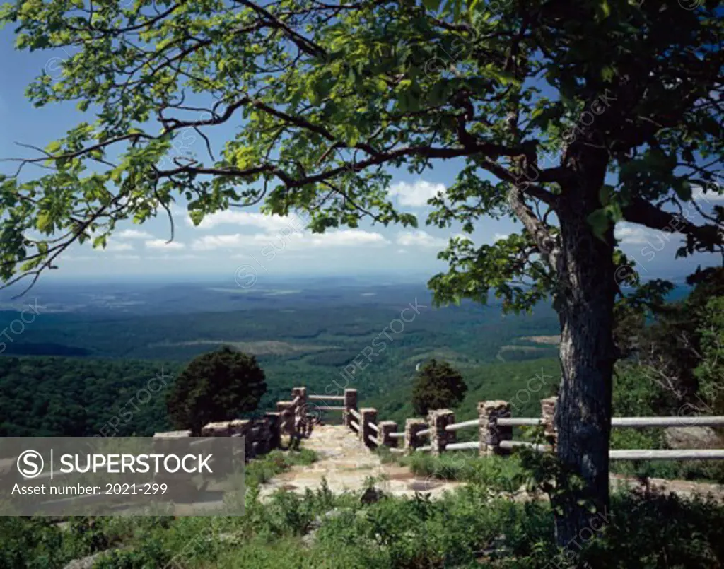 Magazine Mountain, Mount Magazine State Park, Paris, Arkansas, USA 