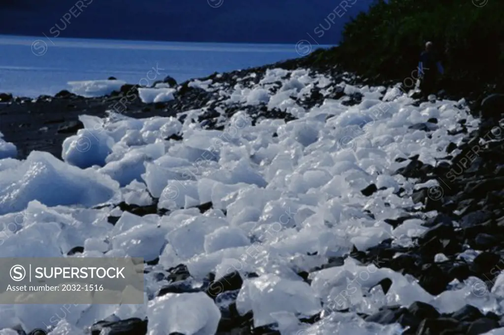 Russell Fjord Wilderness Alaska USA