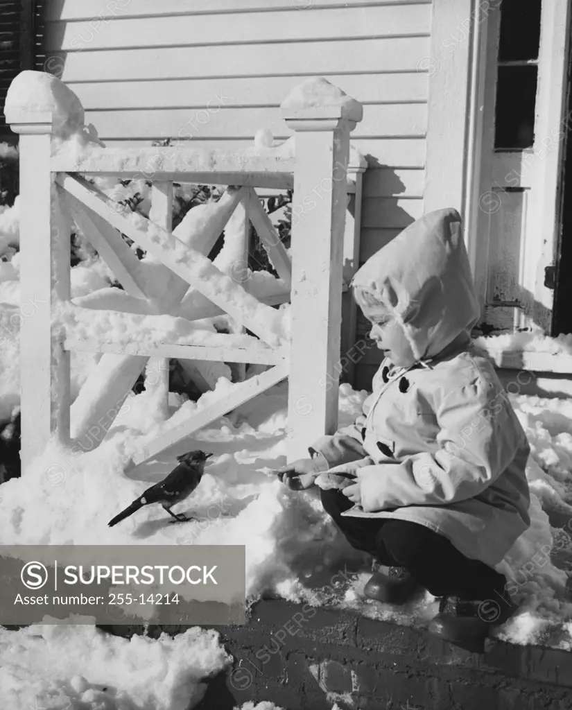 Girl feeding a bird