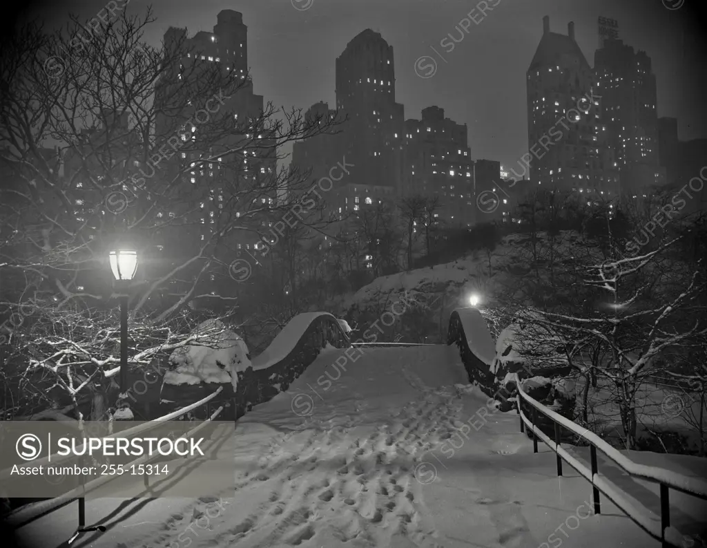 Vintage Photograph. Central Park South skyline from Central Park. Frame 1