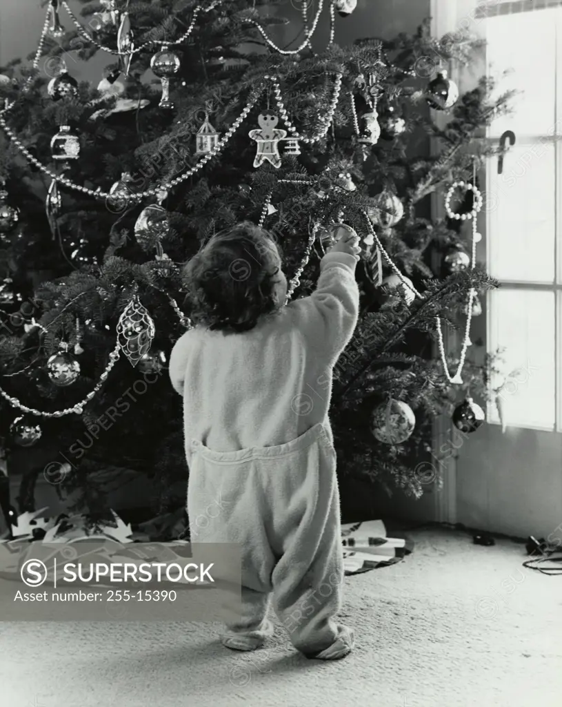 Rear view of a boy holding a decorative ornament on a Christmas tree