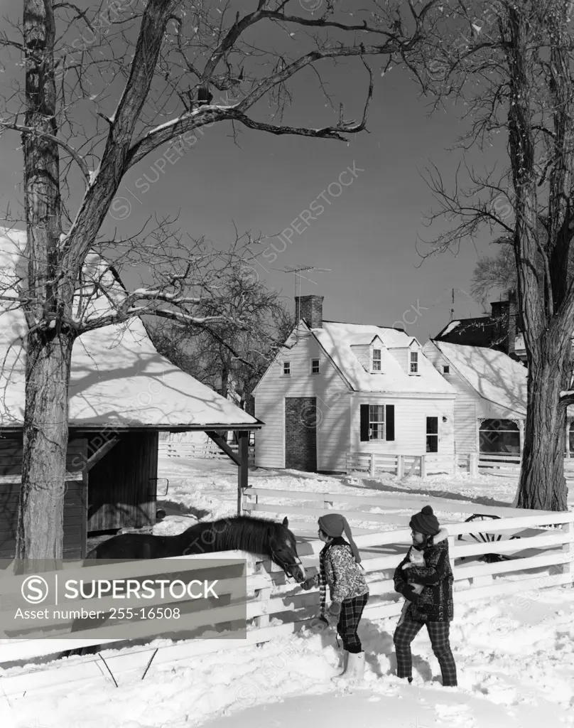 Pair of children feeding horse in winter scenery