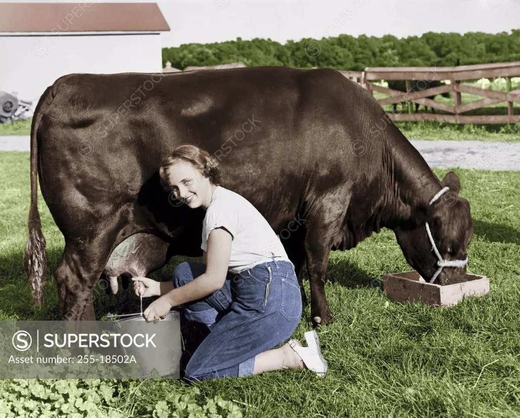 Portrait of a young woman milking a cow