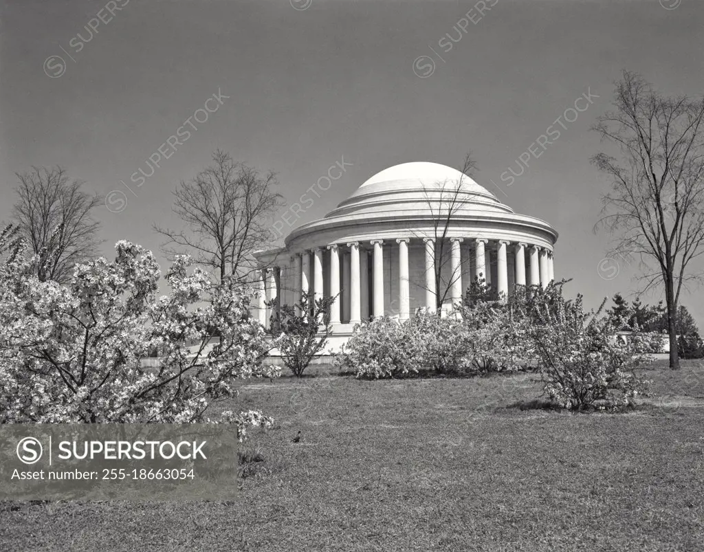 Vintage photograph. Cherry blossoms and Jefferson Memorial mid day Washington DC