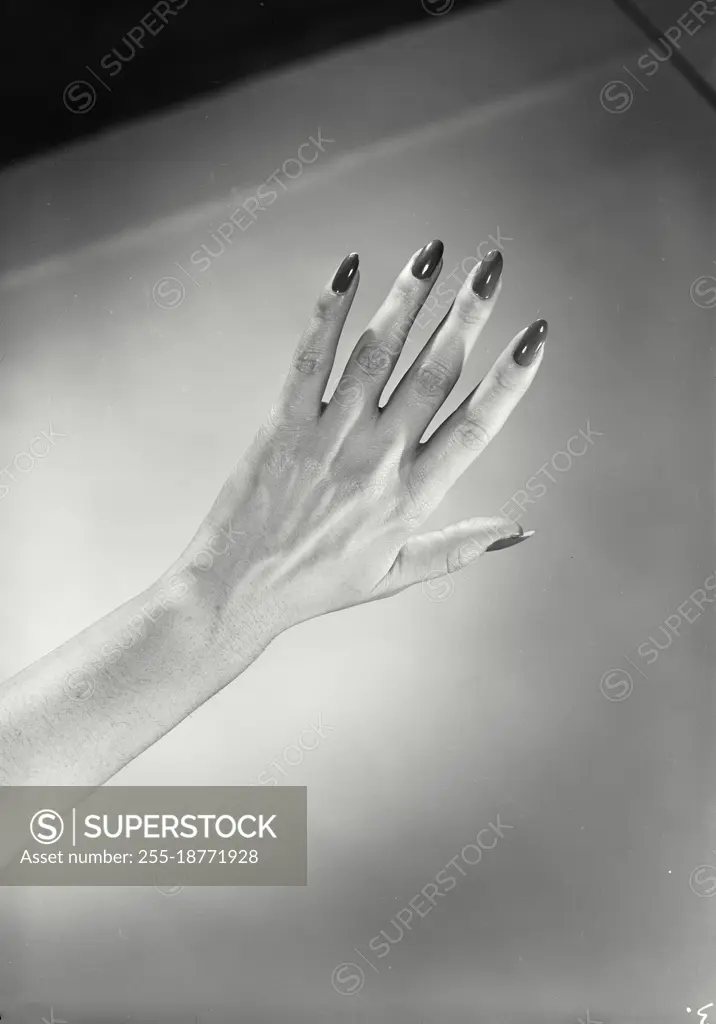 Vintage photograph. Hand with painted fingernails. Model released