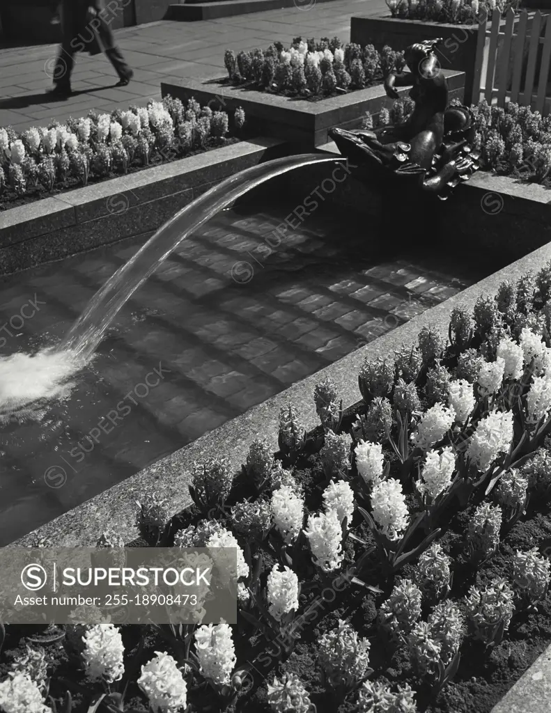 Vintage photograph. Water feature in Plaza at Rockefeller Center, New York City