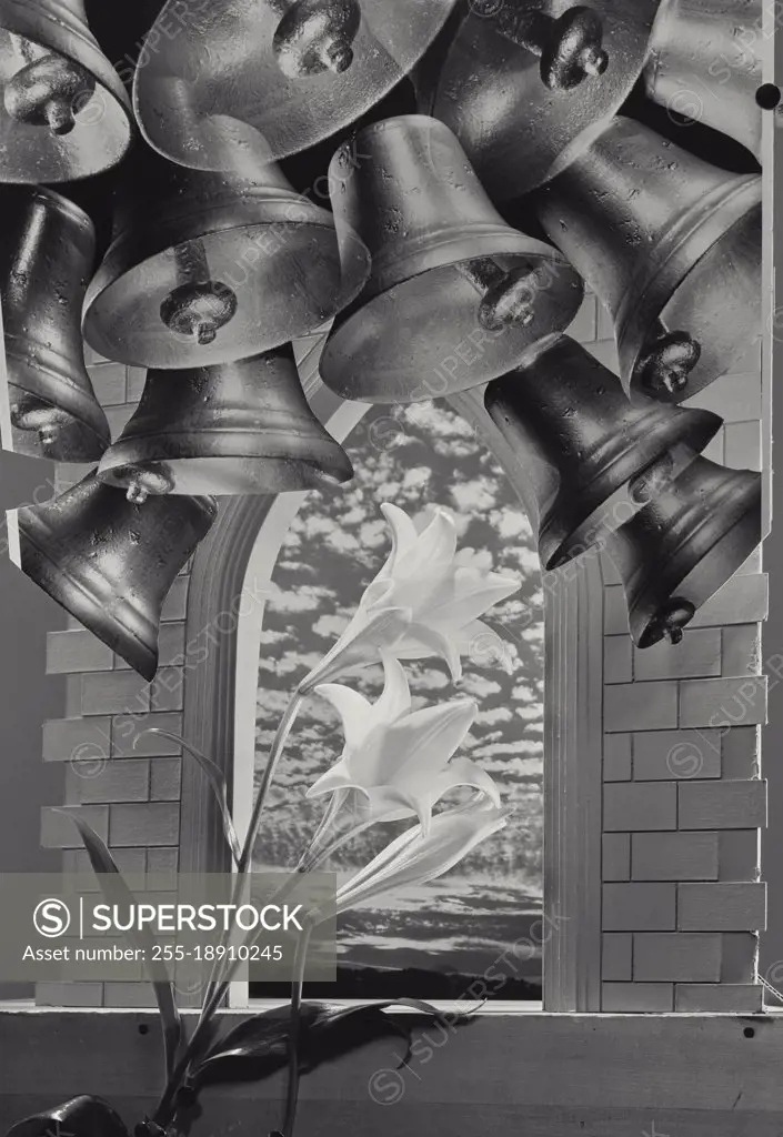 Vintage photograph. Lilies in front of Brick Arch Looking through to clouded sky with Bells at top