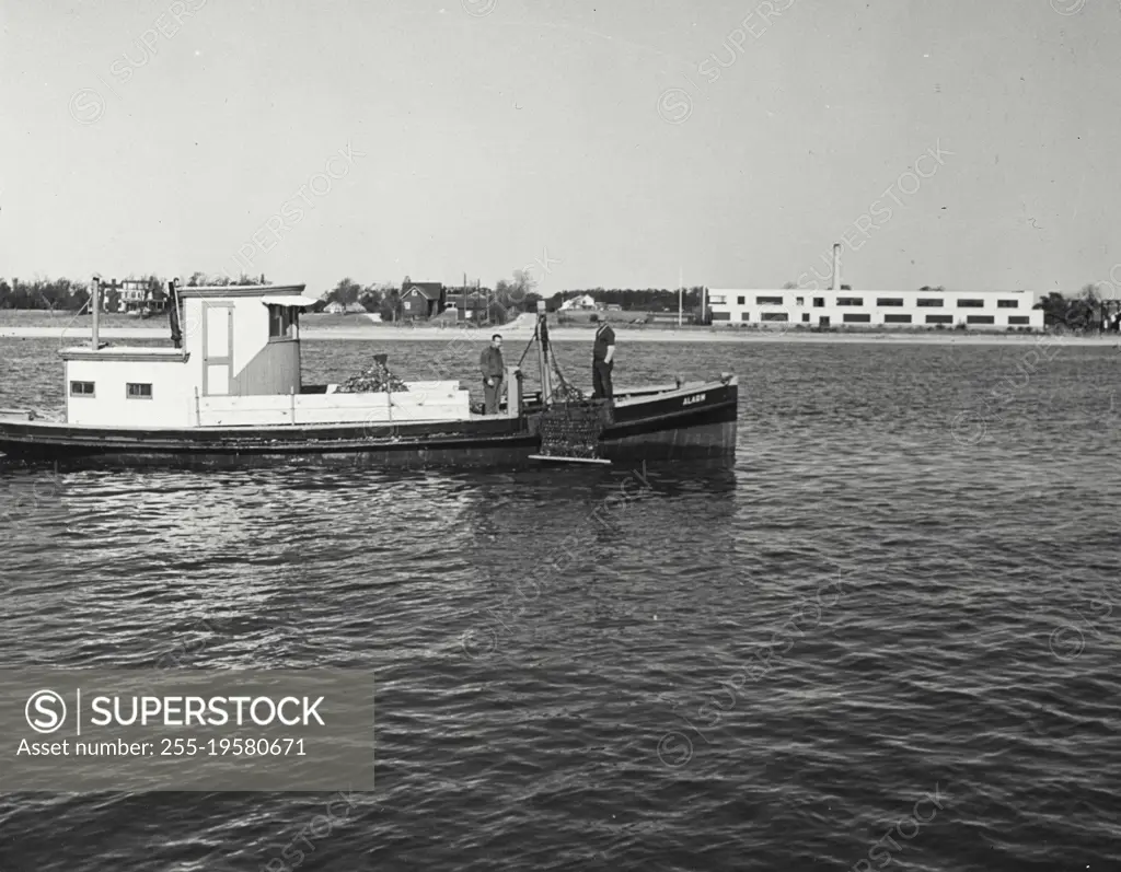 Vintage photograph. Oyster boat getting ready to throw the net over the side to scoop up oysters from the bottom of Gardner's Bay. Bluepoint Company