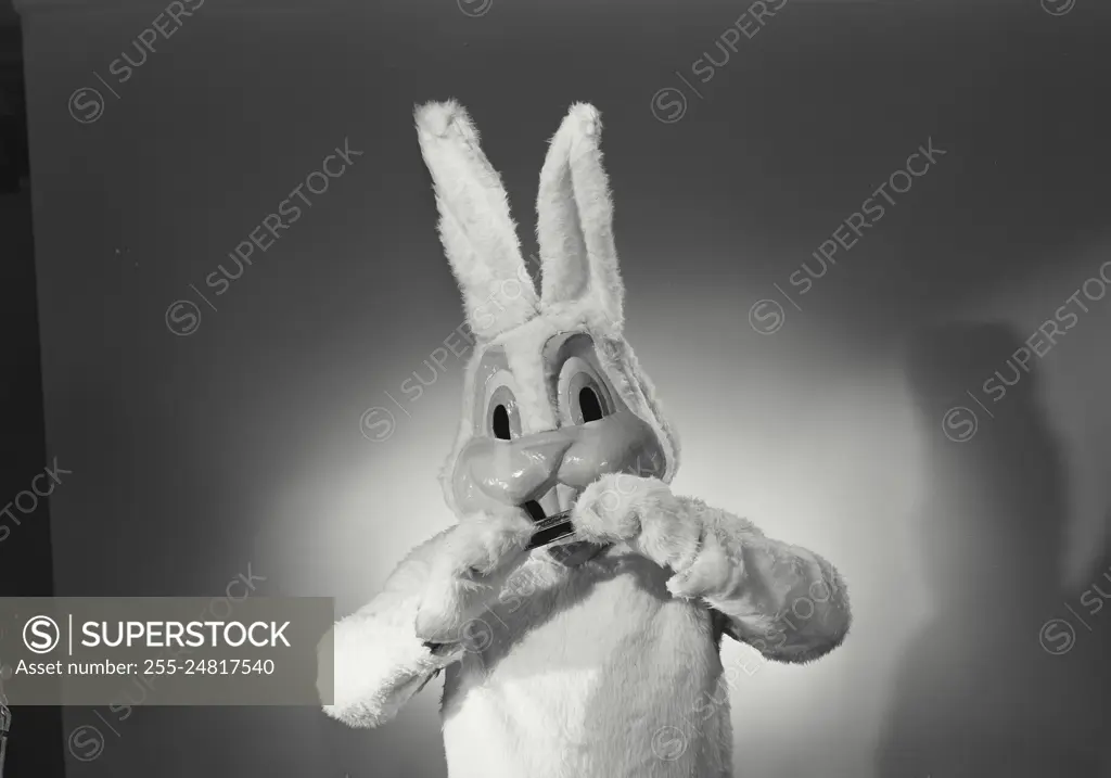 Vintage Photograph. Person in bunny suit playing a harmonica