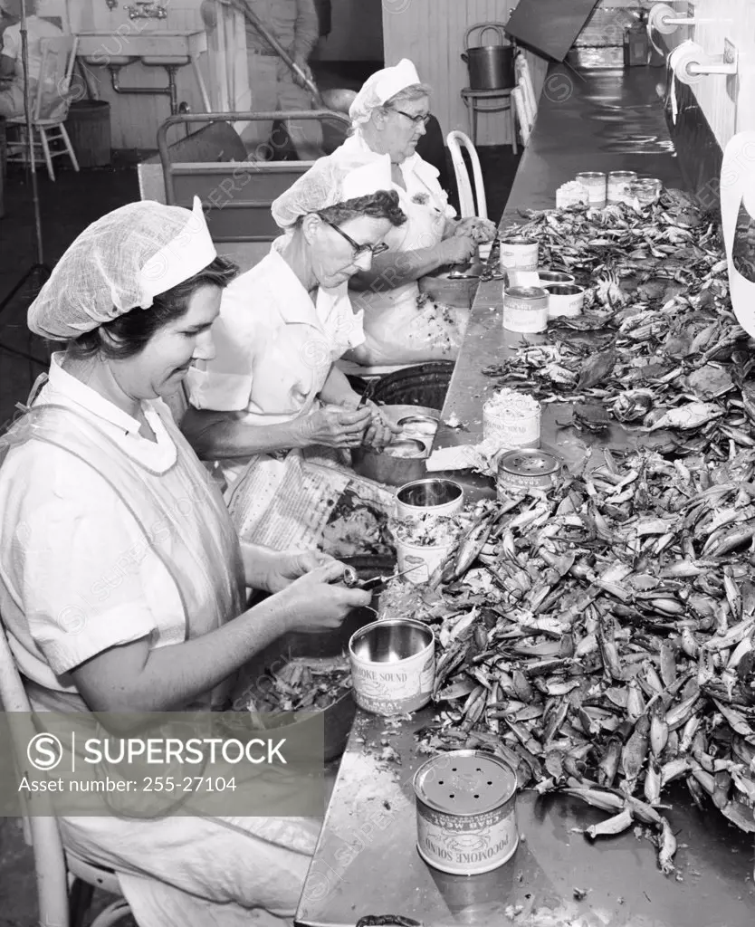 Mature women packing crab meat in containers, Deep Creek, Virginia, USA