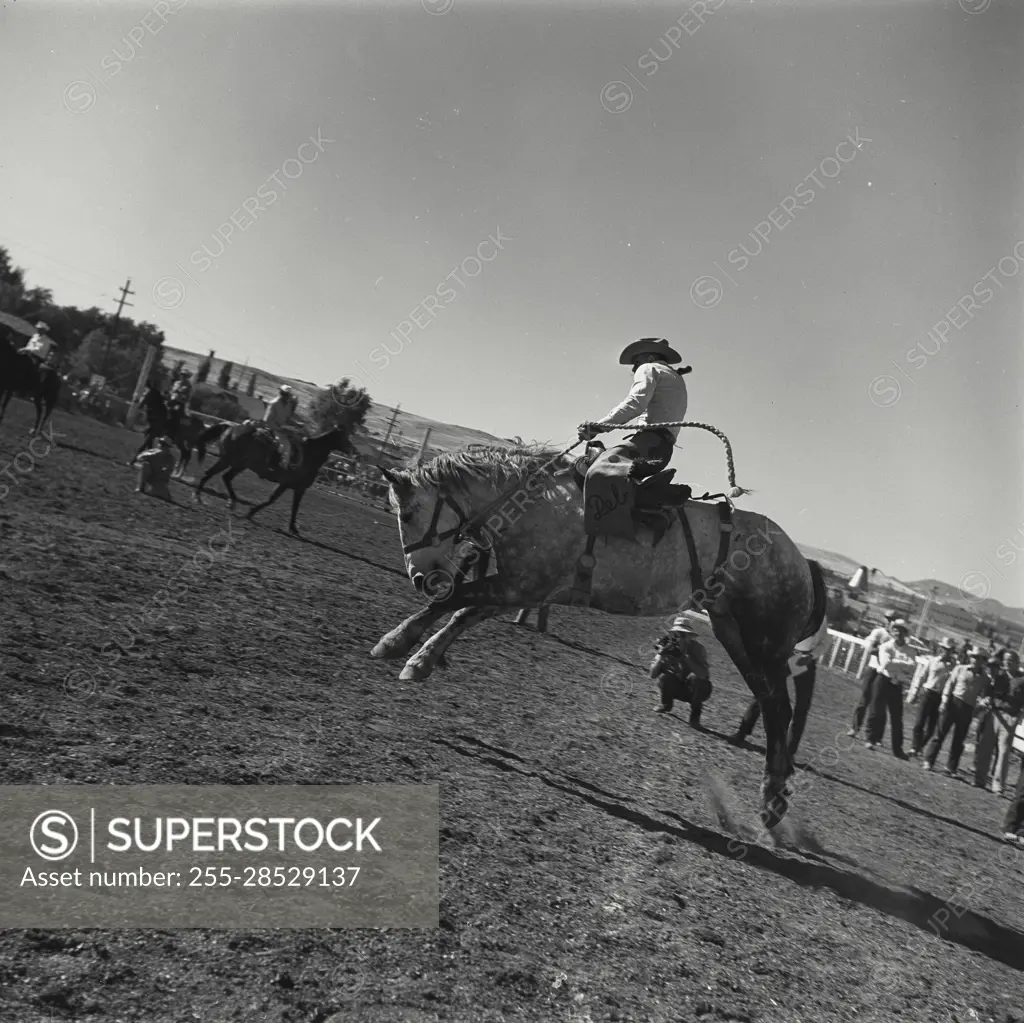 Vintage Photograph. Cowboy rider on bucking horse at a rodeo show in Reno, Nevada