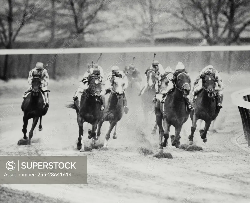 Vintage Photograph. Jockeys riding horses during race, Frame 2