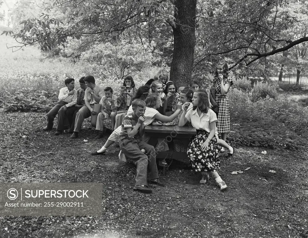 Vintage Photograph. Teenagers having outdoor picnic