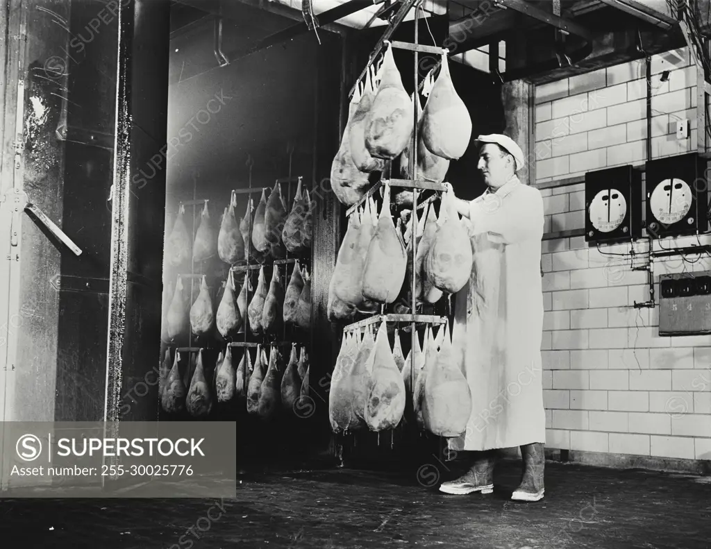 Vintage Photograph. Hams being wrapped then run into smokehouse for final curing and tenderizing