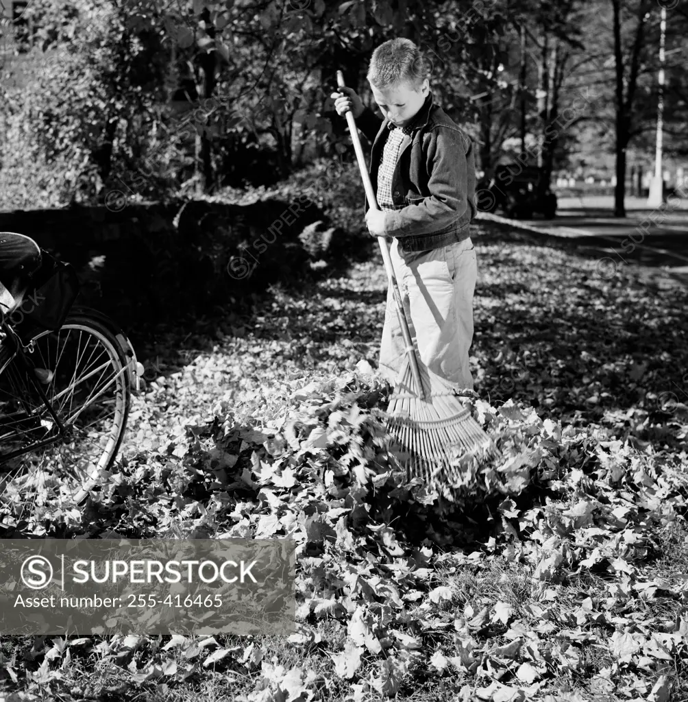 Boy with rake cleaning autumn leaves