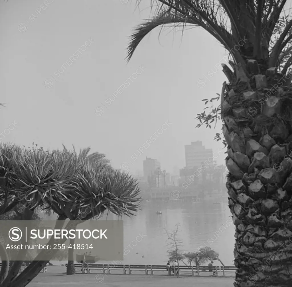 USA, California, Los Angeles, Douglas MacArthur Park on Wilshire Boulevard with hotels in background