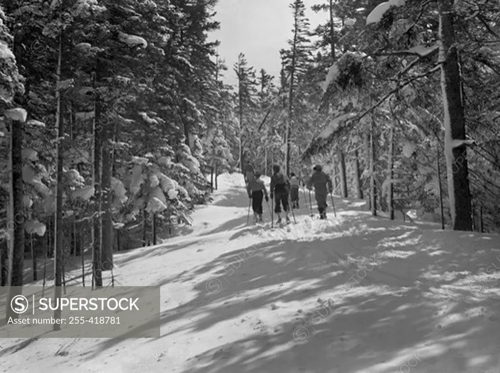 USA, New Hampshire, Mount Washington, Sherburne Ski Trail