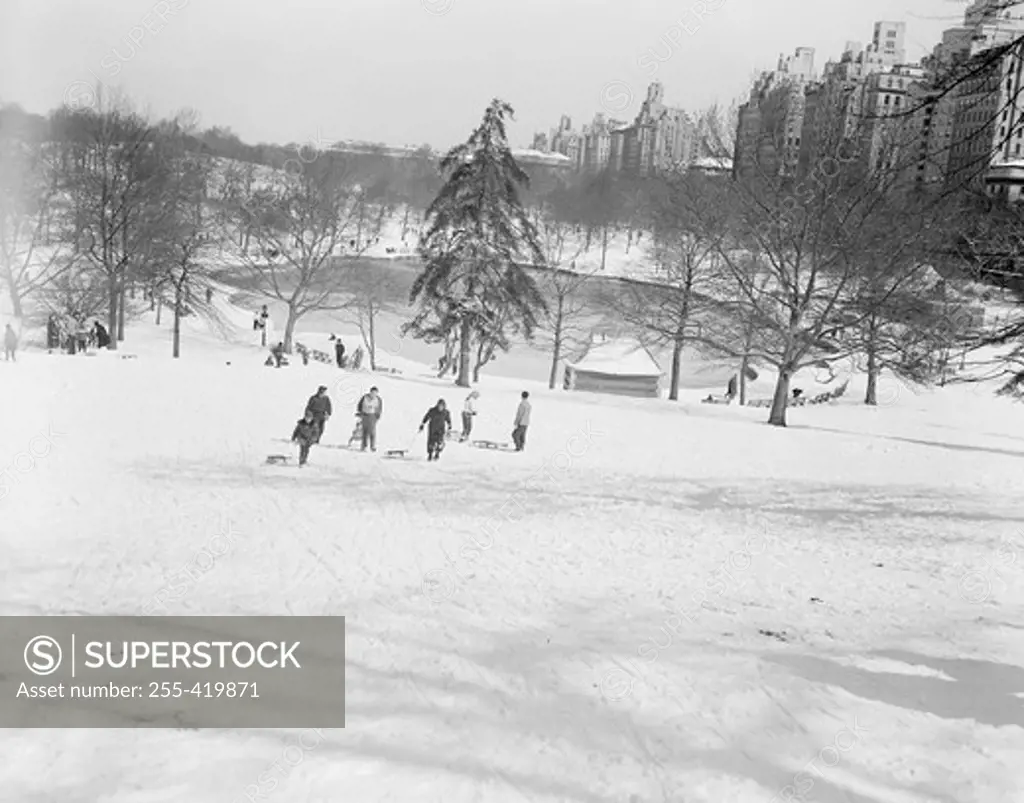 USA, New York State, New York City, Central Park in winter