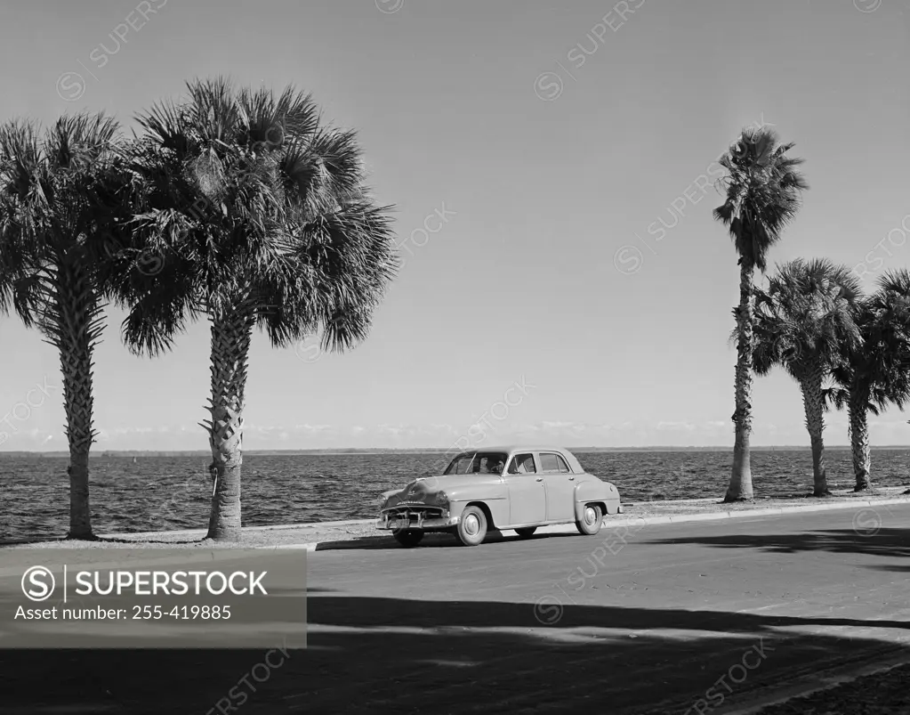 USA, Florida, Stanford, St. John's River