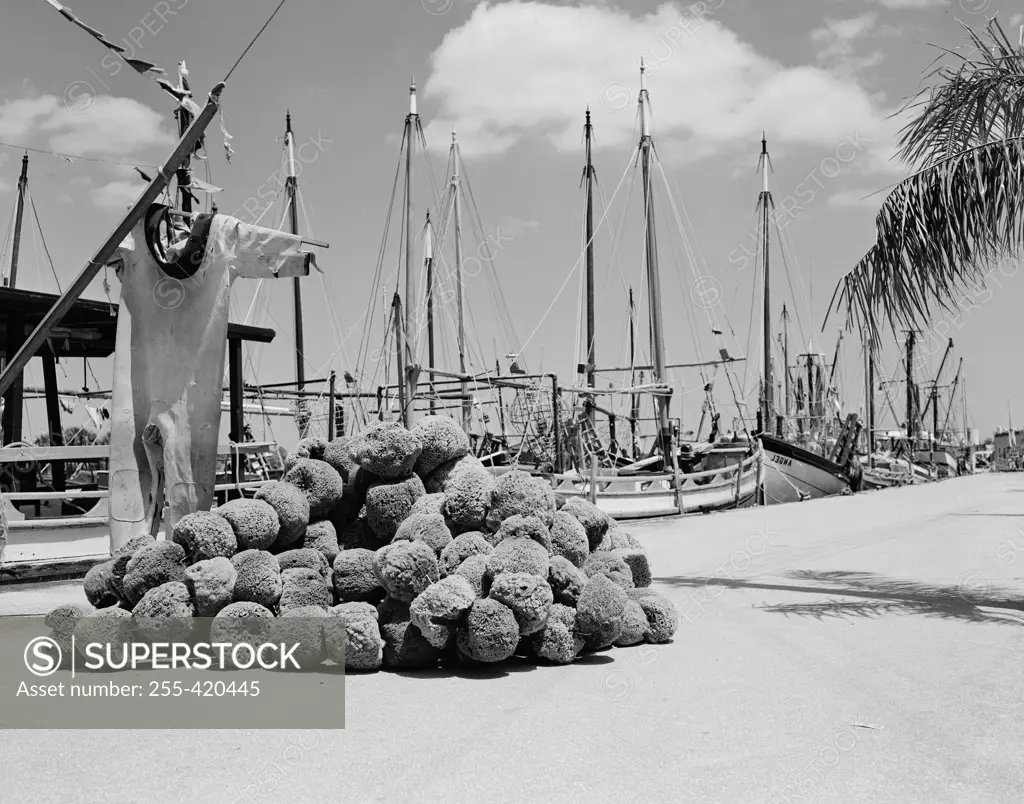 Sponges piled on pier with part of sponge fleet in background