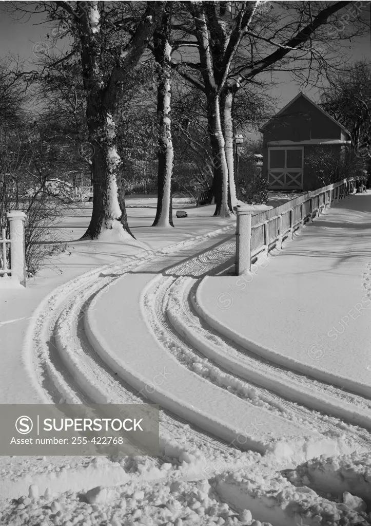 Car tracks in snow