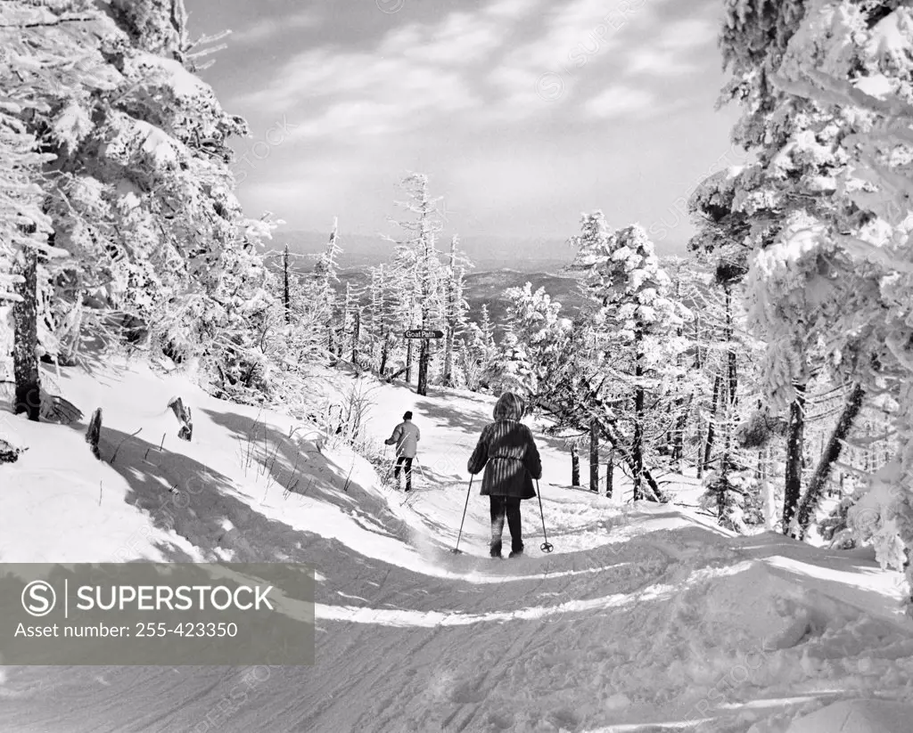 USA, Vermont, Killington, Tourists cross-country skiing