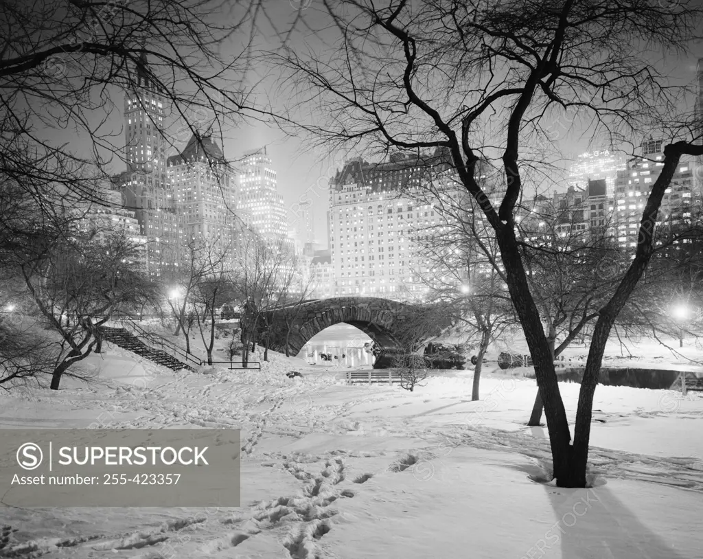 USA, New York City, Central Park on winter night