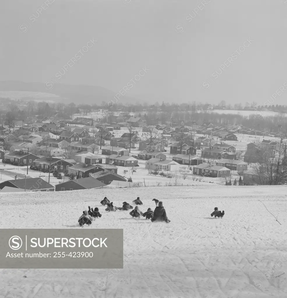 Children sledding down hill