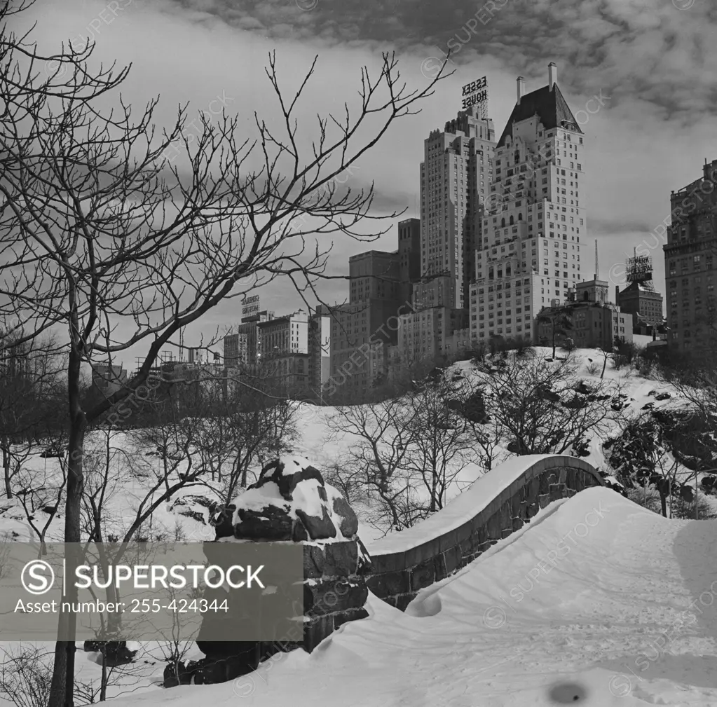 USA, New York City, Central Park in winter