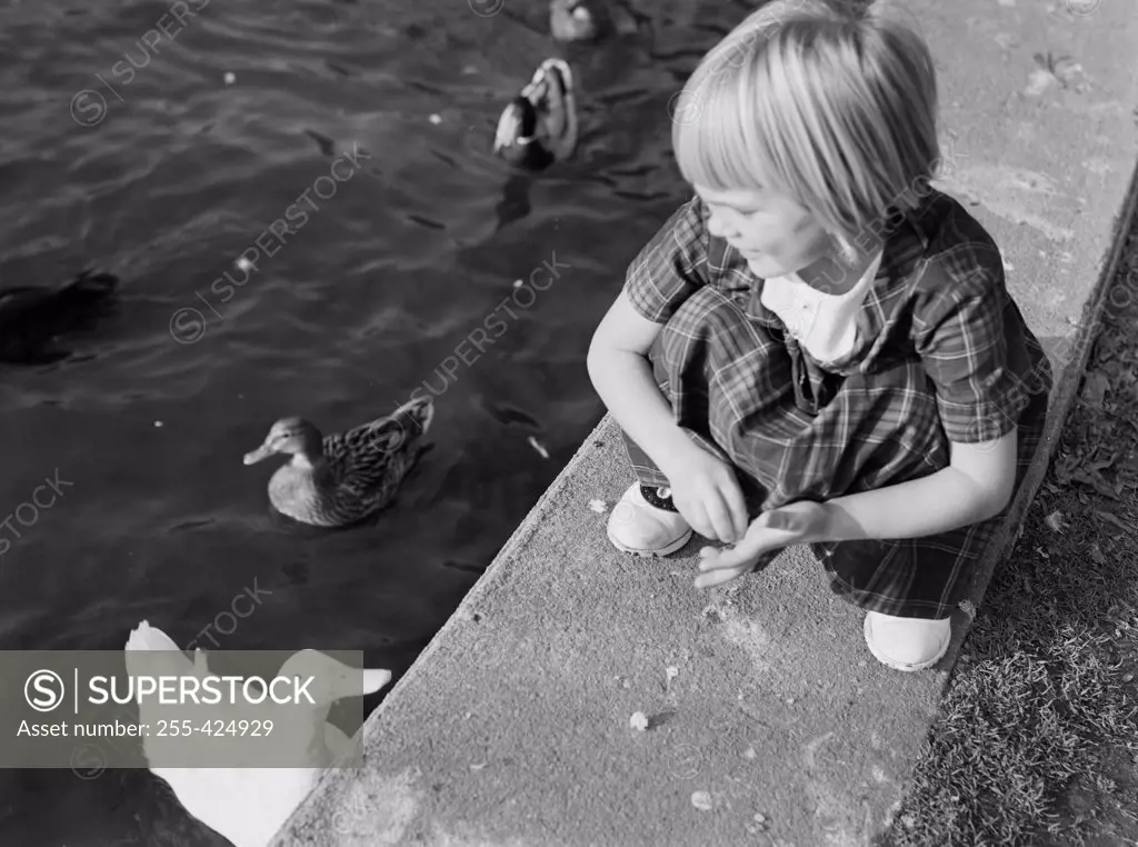 Girl feeding ducks in pond