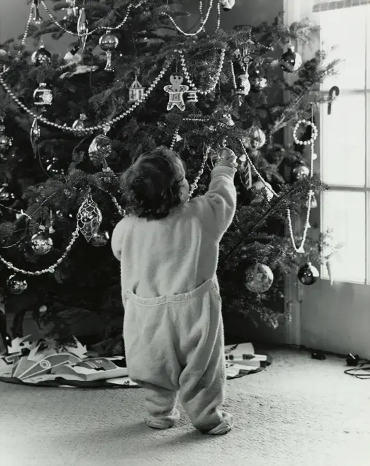 Rear view of a boy holding a decorative ornament on a Christmas tree