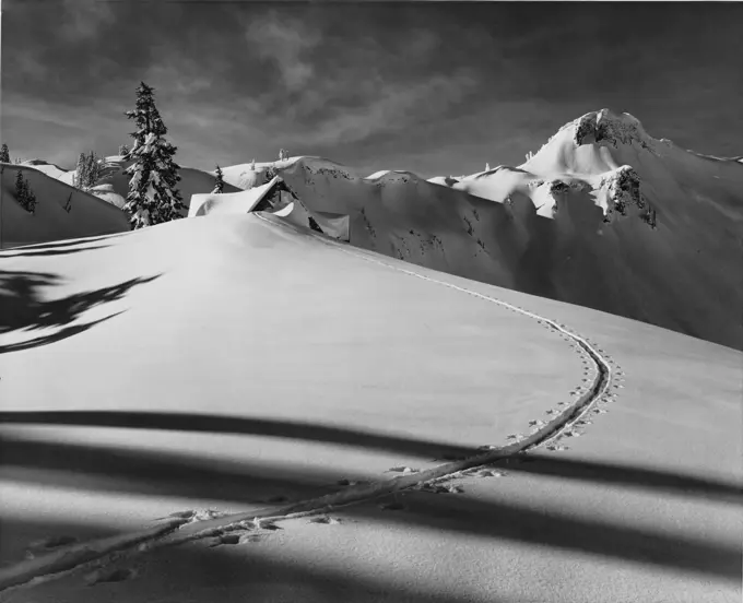 Footprints leading towards a snow covered cabin