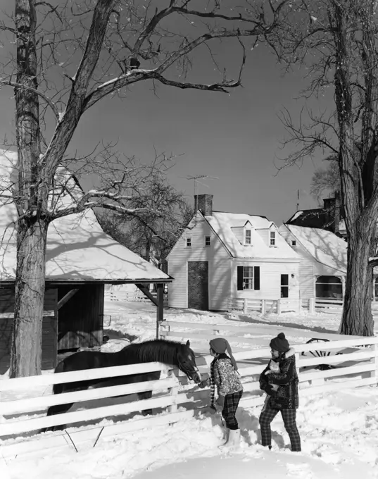 Pair of children feeding horse in winter scenery