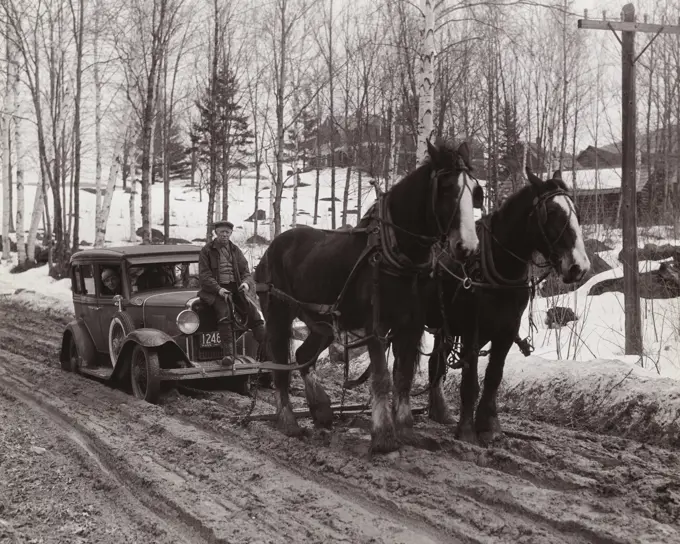 Two horses towing a vintage car