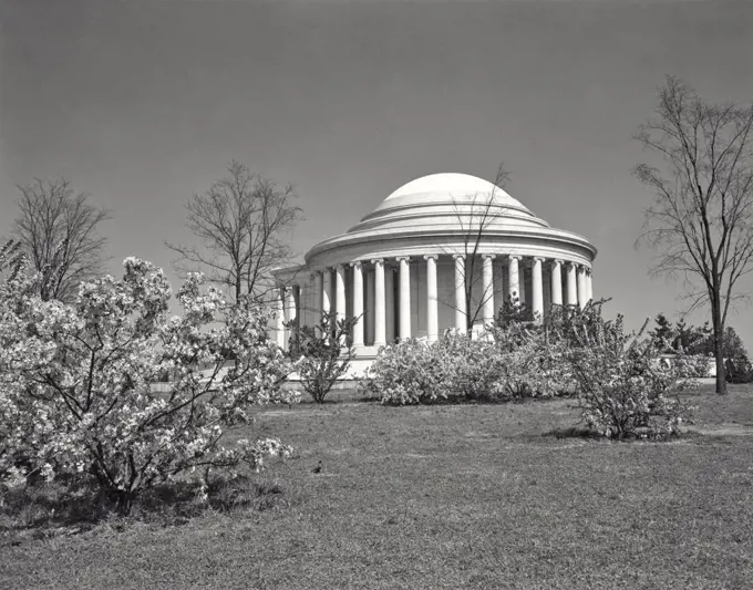 Vintage photograph. Cherry blossoms and Jefferson Memorial mid day Washington DC