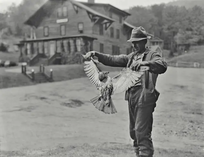 Vintage photograph. New England farmer holding hawk by wings in front of farmhouse. Chicken hawk