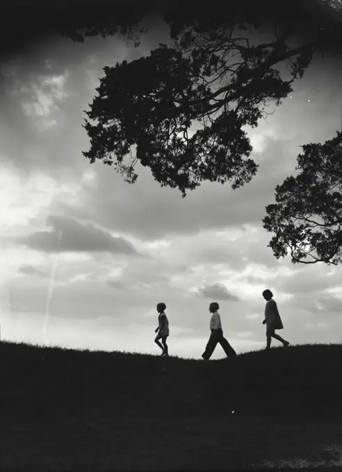 Vintage photograph. Silhouettes of children walking along hilltop