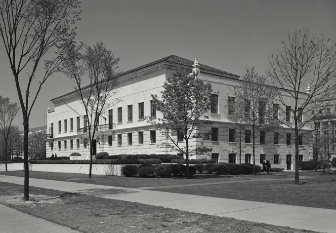 Vintage photograph. Secretarial to the Pan American Union, on Constitution Avenue