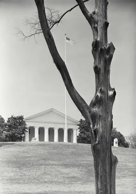 Vintage photograph. The Lee Mansion in Arlington Cemetery with tree in foreground