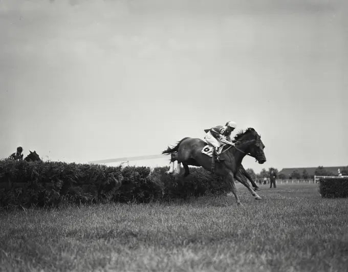 Vintage photograph. hurdle race at aqueduct race track