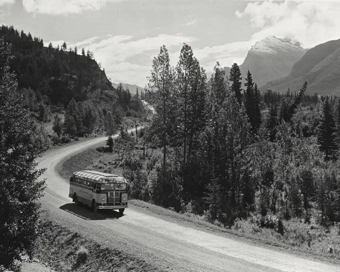 Vintage photograph. Modern plexiglass buses assure an unbroken view of the spectacular scenery in Banff National Park