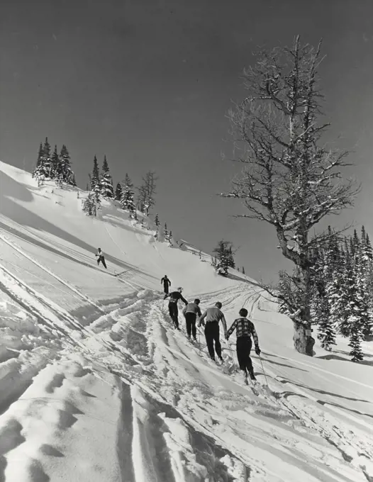 Vintage photograph. Ski trails abound in Western Canada where snow lies on the mountain slopes until May