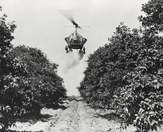 Vintage photograph. Bell helicopter performing Black fly fogging operations