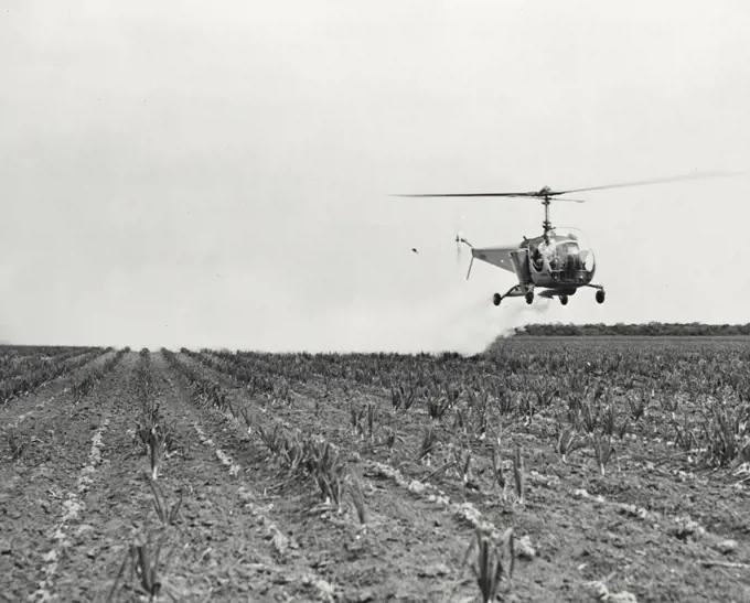 Vintage photograph. Bell helicopter performing Black fly fogging operations